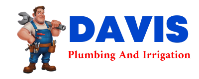 Trusted plumber in DEVOL